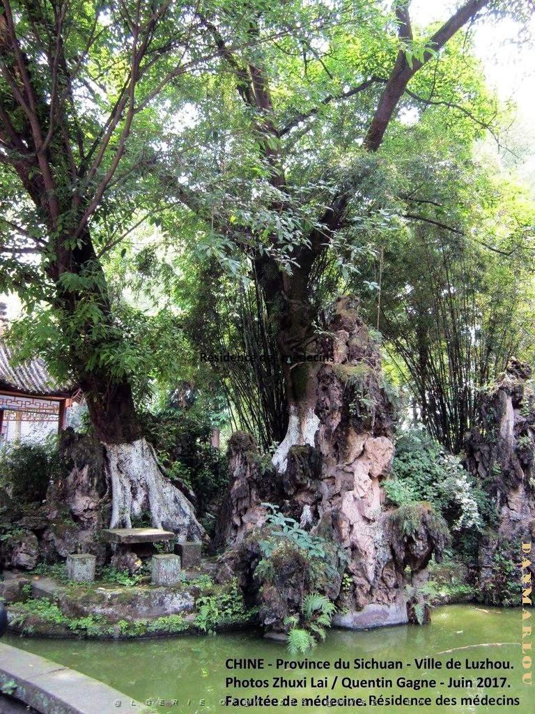 Luzhou juin 2017 - 015.JPG